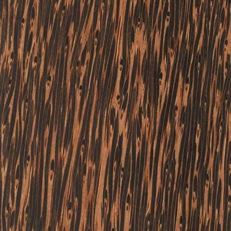 黑棕榈 Palm Black