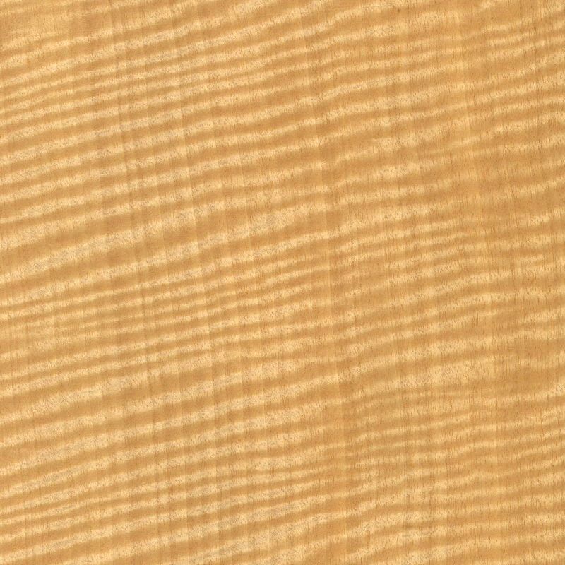 红影 排骨影 Anigre Fiddleback Figured