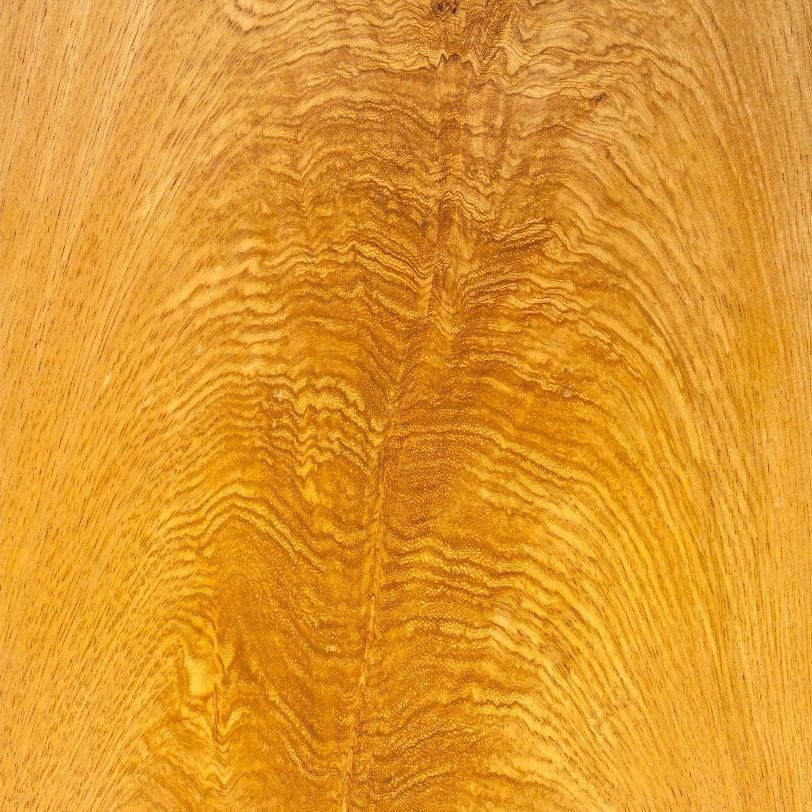 金杈 Cerejeira Crotch