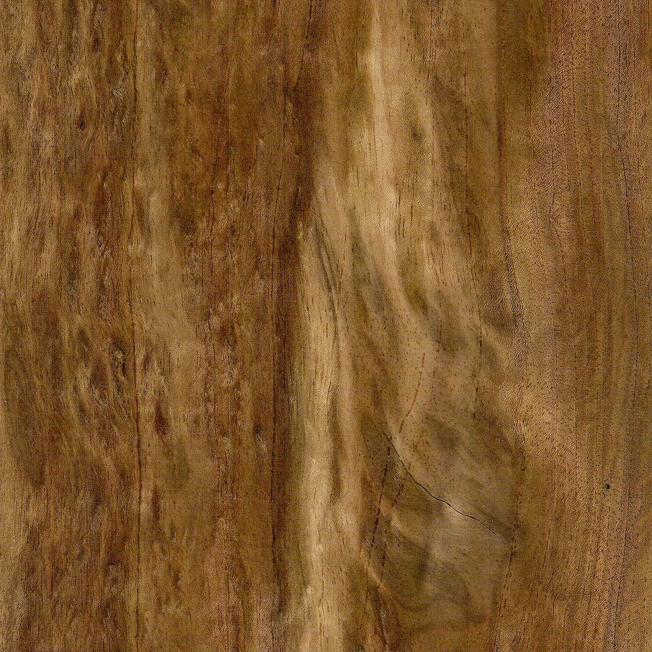 非洲相思木老虎纹 Tiger Etimoe