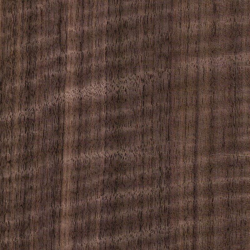 黑胡桃直纹有影 Black Walnut Quarter