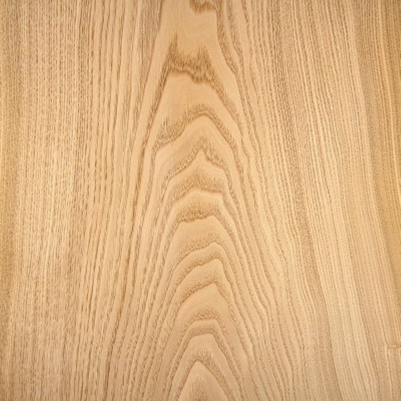 栗子木山纹 Chestnut Crown