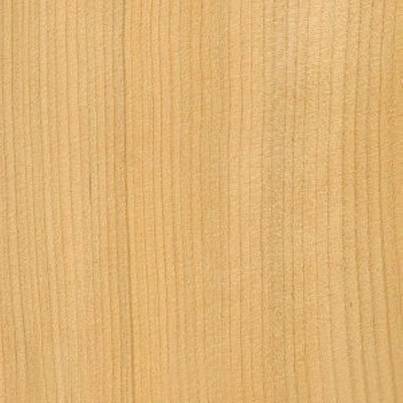 黎巴嫩香杉 Lebanon Cedar