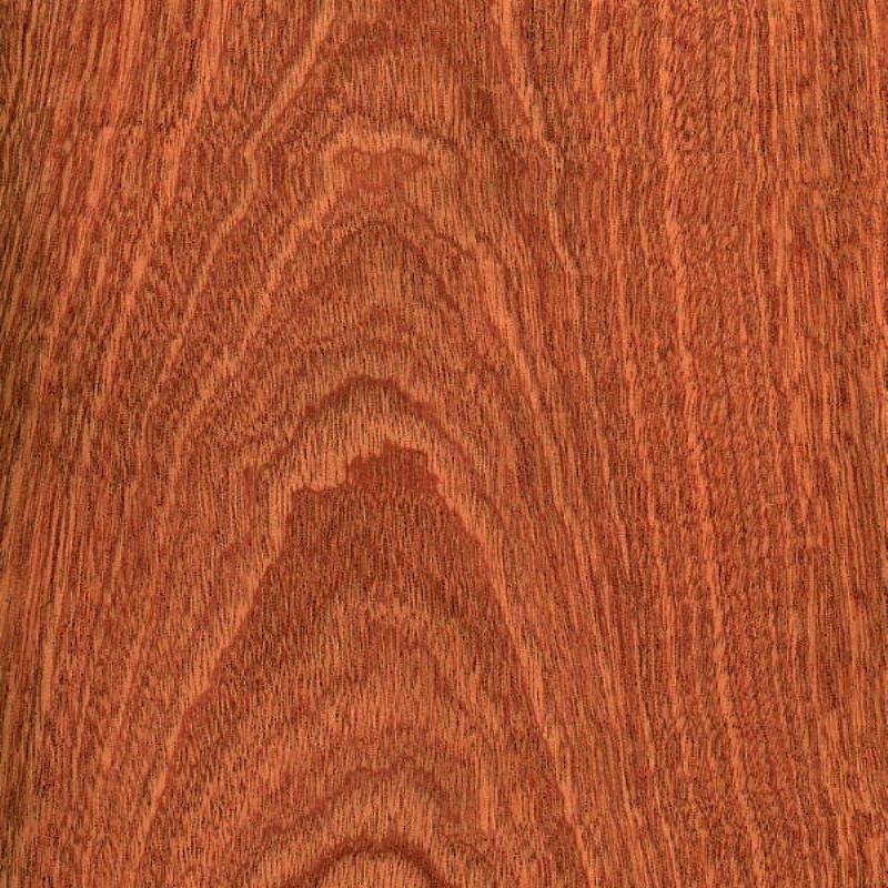 沙比利山纹 Sapele Crown