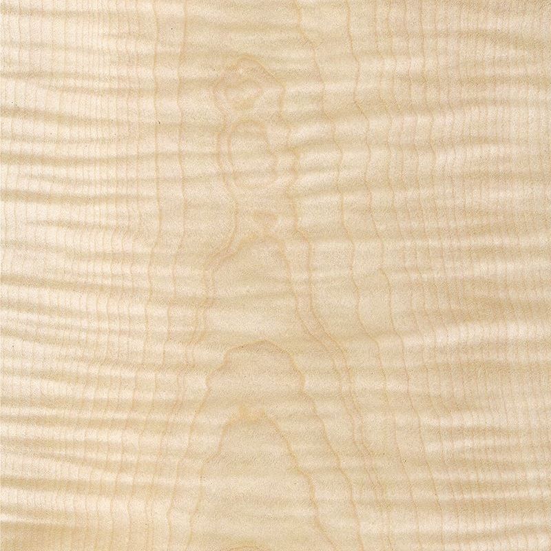 白影山纹 Sycamore Figured Crown
