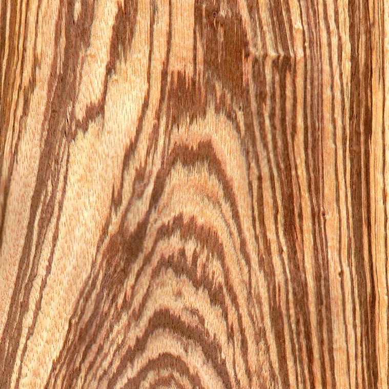 斑马山纹 Zebrawood Crown