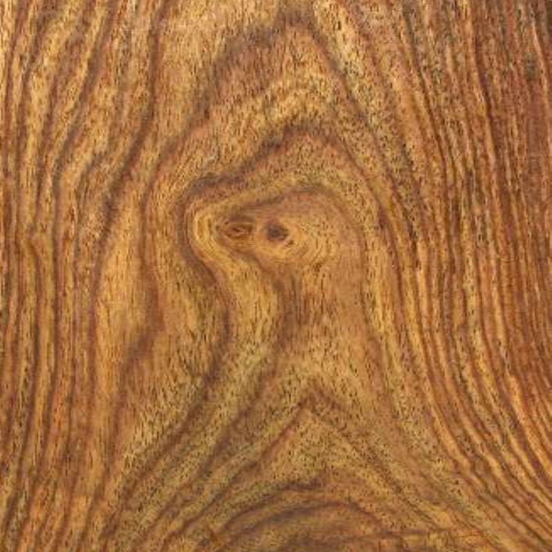 非洲花梨（红木） Senegal Rosewood