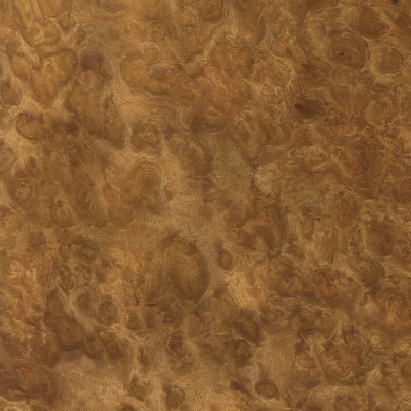 尤加利树瘤 Eucalyptus Burl