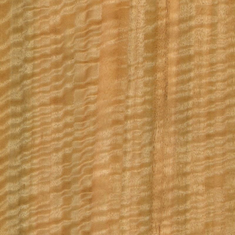 尤加利影纹 Eucalyptus Fiddleback Figured