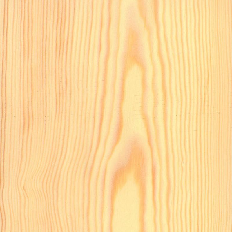 樟子松 Scots Pine