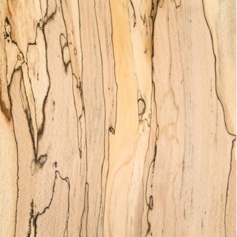 榉木朽纹 Beech Spalted