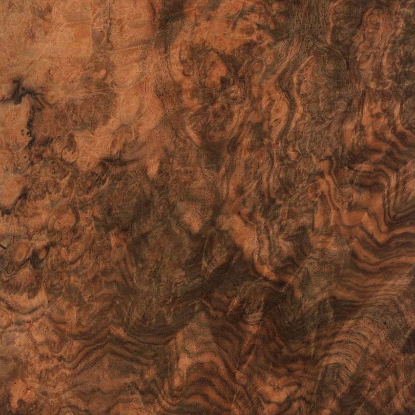 欧洲黑胡桃树瘤 European Walnut Burl