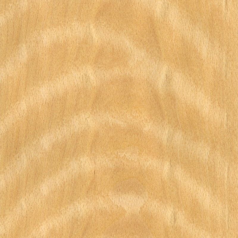 榉木影纹 Beech Figured