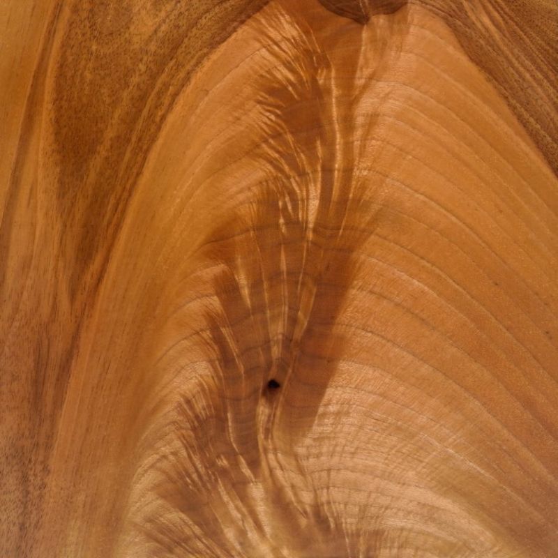 欧洲黑胡桃树杈 European Walnut Crotch