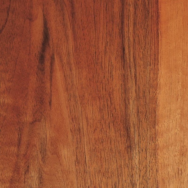 欧洲黑胡桃 European Walnut