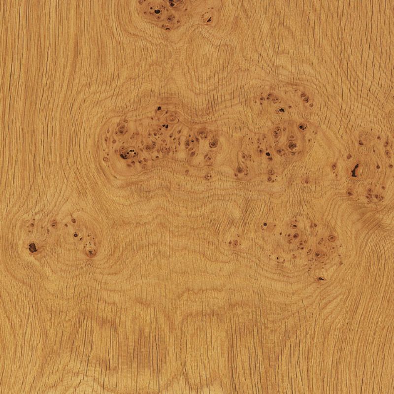 European Oak Cluster