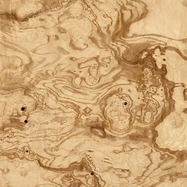 白栓橄榄树瘤 Ash Burl Olive