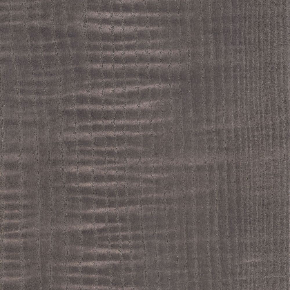 Imported White Wax Shadow OSR-037