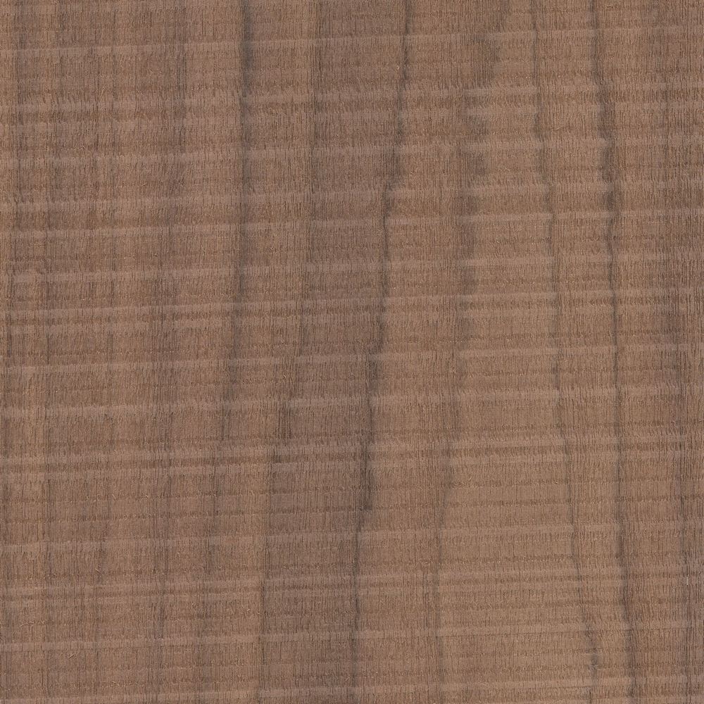 Sawtooth walnut OSR-058